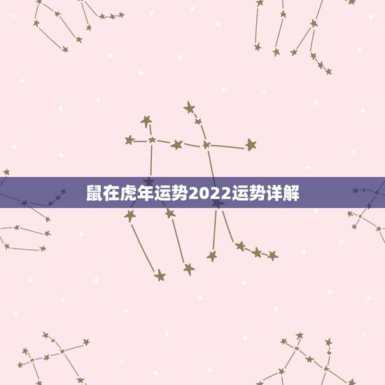 鼠在虎年运势2022运势详解,属鼠2022年每月运势完整版 鼠在虎年运势2022运势详解,属鼠2022年每月运势完整版