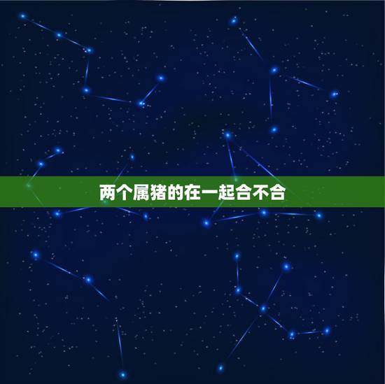 两个属猪的在一起合不合，两个属猪的人会相克吗
