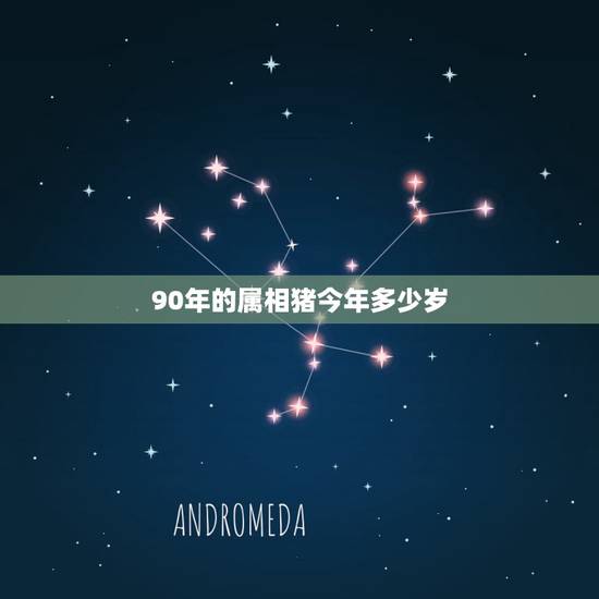 90年的属相猪今年多少岁,2019年出生的是什么命 90年的属相猪今年多少岁,2019年出生的是什么命