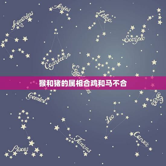 猴和猪的属相合鸡和马不合，属猴和属鸡的合不合