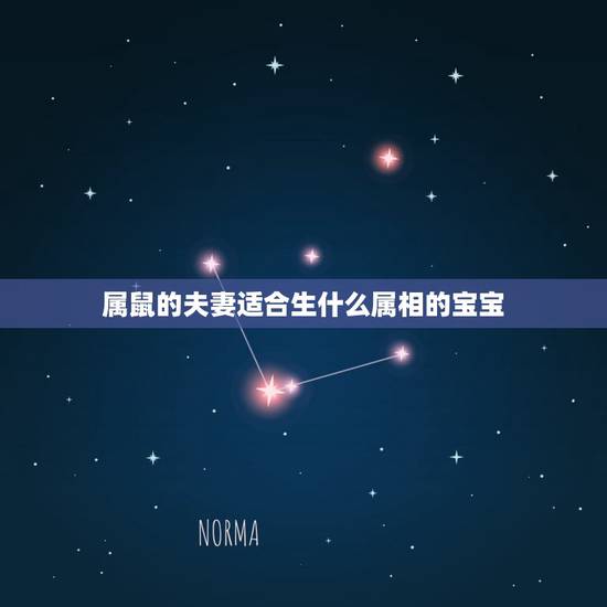 属鼠的夫妻适合生什么属相的宝宝，属相-两个属鼠的人生个什么属相的宝宝好