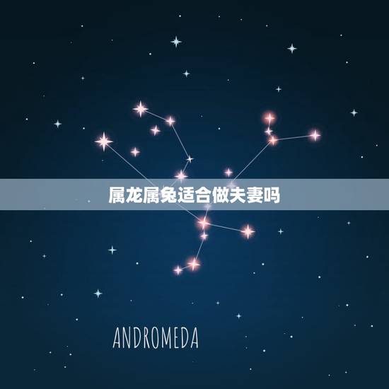 属龙属兔适合做夫妻吗,75年男兔76年女龙婚配 属龙属兔适合做夫妻吗,75年男兔76年女龙婚配