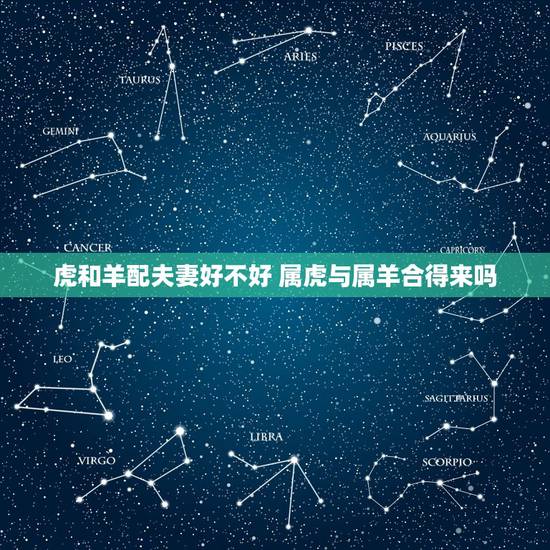 虎和羊配夫妻好不好 属虎与属羊合得来吗 虎和羊配夫妻好不好 属虎与属羊合得来吗