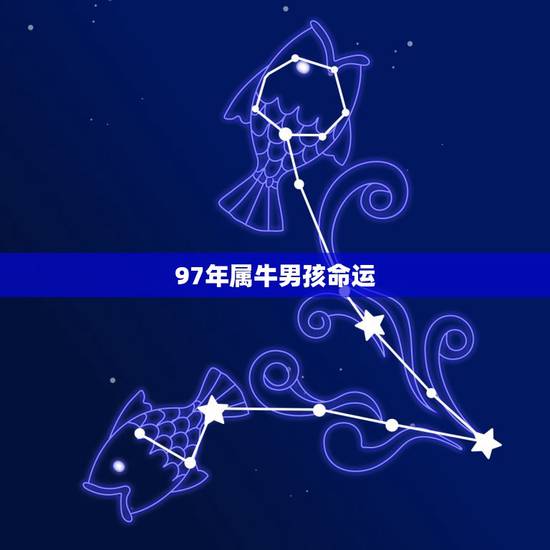 97年属牛男孩命运，属相牛1997年出生是什么命？