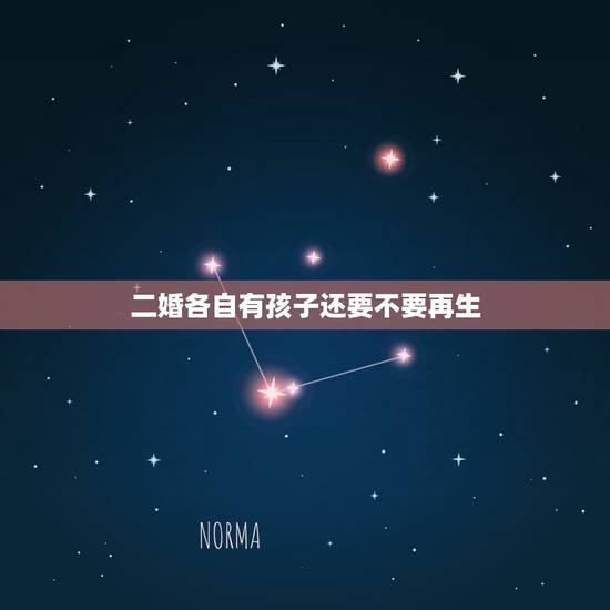 二婚各自有孩子还要不要再生,二婚双方都有孩子 有必要再生吗 二婚各自有孩子还要不要再生,二婚双方都有孩子 有必要再生吗