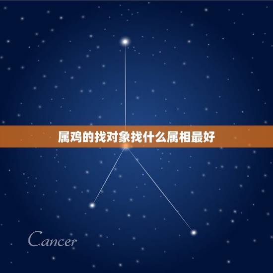 属鸡的找对象找什么属相最好，属鸡的找属什么的对象最好