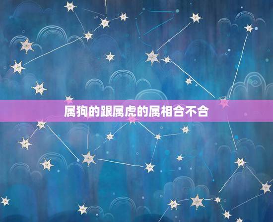属狗的跟属虎的属相合不合，属虎的和属狗的配吗