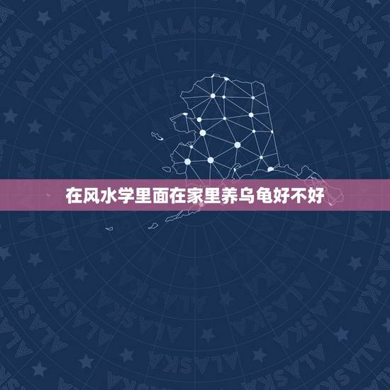 在风水学里面在家里养乌龟好不好，从风水上讲 家里养两只龟好还是三只好？