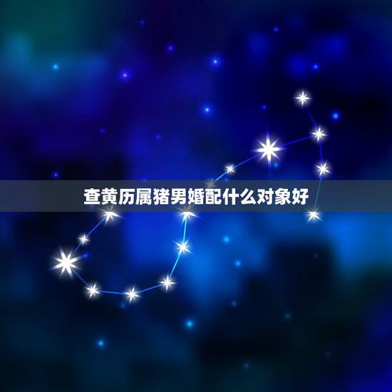 查黄历属猪男婚配什么对象好，属猪的男人和什么属相最配