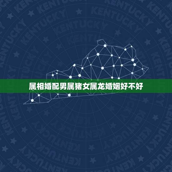 属相婚配男属猪女属龙婚姻好不好,属猪男和属龙女的命运和婚姻 属相婚配男属猪女属龙婚姻好不好,属猪男和属龙女的命运和婚姻