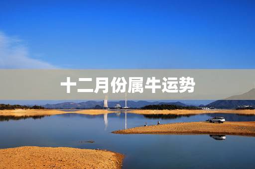 十二月份属牛运势，属牛十二月运势86年一月四日在今年十二月的运气怎么样