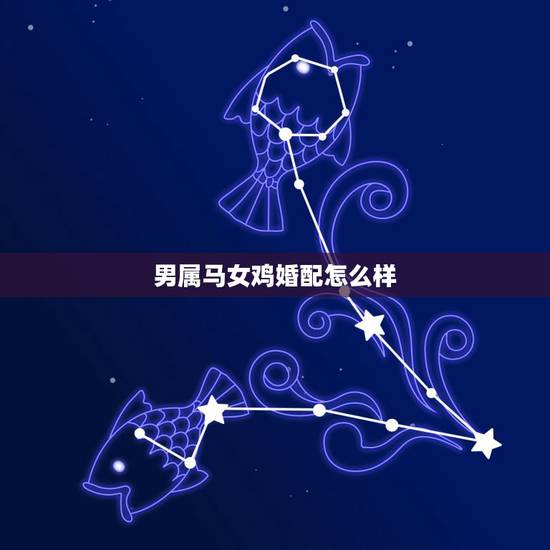 男属马女鸡婚配怎么样,女属鸡和男属马相配吗 男属马女鸡婚配怎么样,女属鸡和男属马相配吗