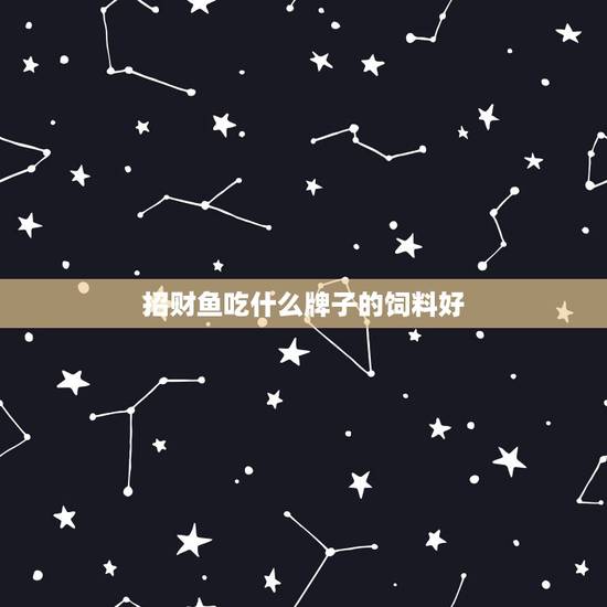 招财鱼吃什么牌子的饲料好，招财鱼喜欢吃什么鱼或饲料？