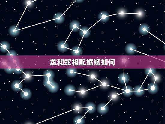 龙和蛇相配婚姻如何，88龙女和蛇男结婚好吗