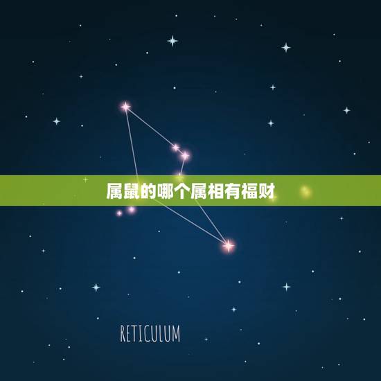 属鼠的哪个属相有福财,什么属相能给属鼠的带来财运 属鼠的哪个属相有福财,什么属相能给属鼠的带来财运