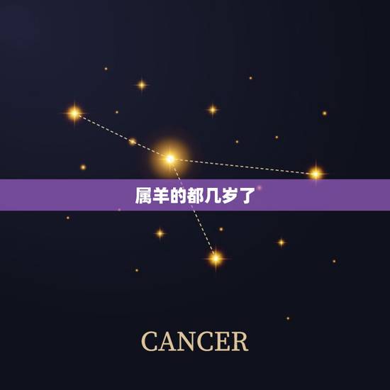 属羊的都几岁了，属羊的2022 年多少岁