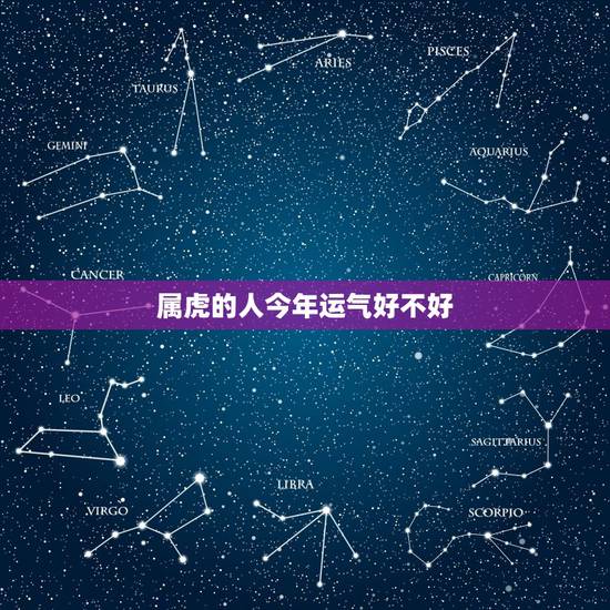 属虎的人今年运气好不好，2022 年属虎的财运