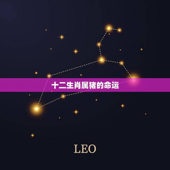 十二生肖属猪的命运，1971年属猪2022 年运势