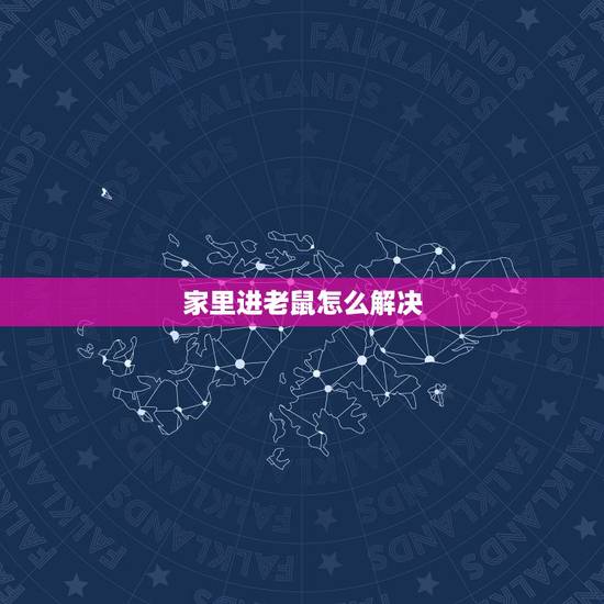 家里进老鼠怎么解决,家里跑进一只老鼠预兆 家里进老鼠怎么解决,家里跑进一只老鼠预兆