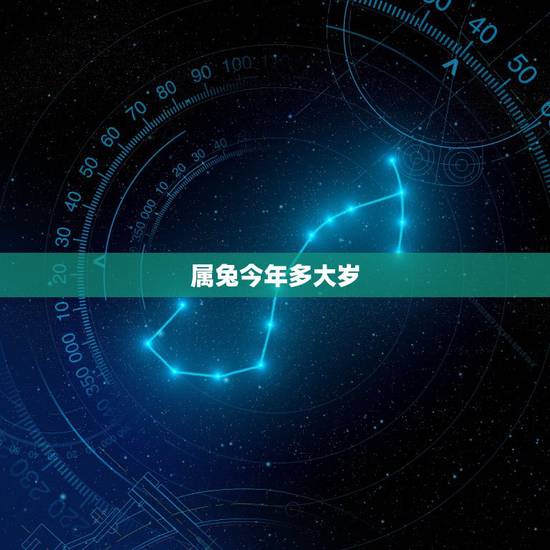 属兔今年多大岁，属龙的今年多少岁