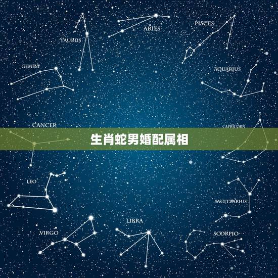 生肖蛇男婚配属相,蛇和什么生肖最配?属蛇的属相婚配表大全 生肖蛇男婚配属相,蛇和什么生肖最配?属蛇的属相婚配表大全