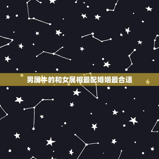 男属牛的和女属相最配婚姻最合适，属牛的和什么属相最配 属牛的属相婚配表