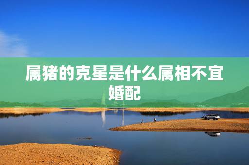属猪的克星是什么属相不宜婚配，属猪与属什么的相冲相克