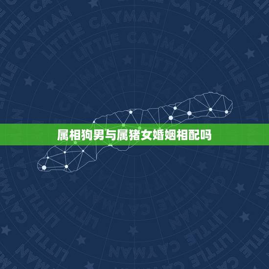 属相狗男与属猪女婚姻相配吗，94年属狗男与95年属猪女相配吗？