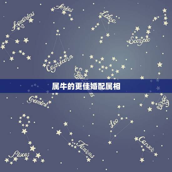 属牛的更佳婚配属相,1997属牛多少岁结婚好 属牛的更佳婚配属相,1997属牛多少岁结婚好