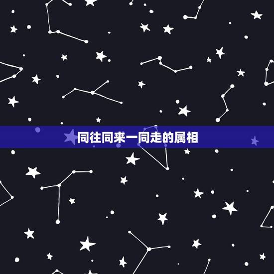 同往同来一同走的属相,同往同来一同走 同往同来一同走的属相,同往同来一同走