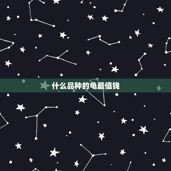 什么品种的龟最值钱,家养乌龟什么品种最珍贵 什么品种的龟最值钱,家养乌龟什么品种最珍贵