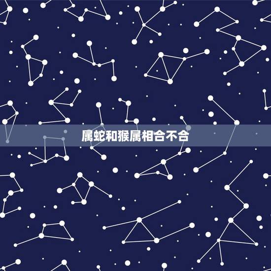 属蛇和猴属相合不合,虎和猴属相合不合 属蛇和猴属相合不合,虎和猴属相合不合