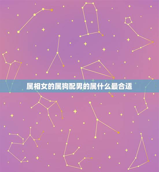 属相女的属狗配男的属什么最合适，女属狗的和什么属相最配