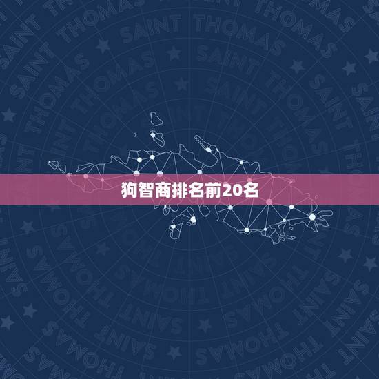 狗智商排名前20名,狗智商排名前十名 狗智商排名前20名,狗智商排名前十名