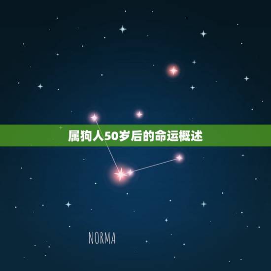 属狗人50岁后的命运概述 属狗人50岁后的命运概述