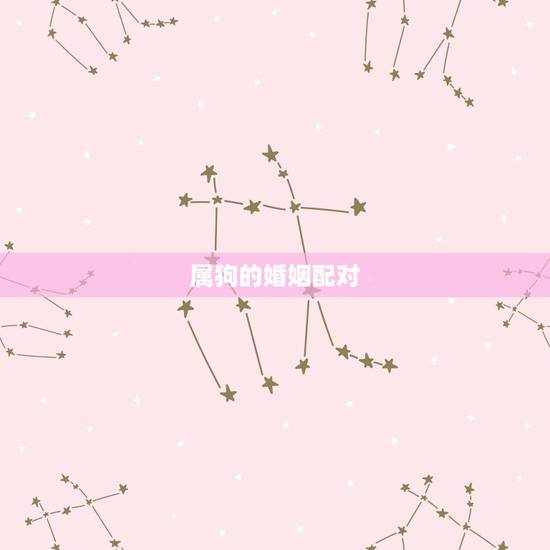 属狗的婚姻配对,94年属狗28岁姻缘如何 属狗的婚姻配对,94年属狗28岁姻缘如何