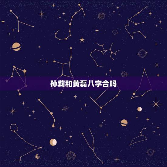 孙莉和黄磊八字合吗，孙莉星座黄磊星座合么