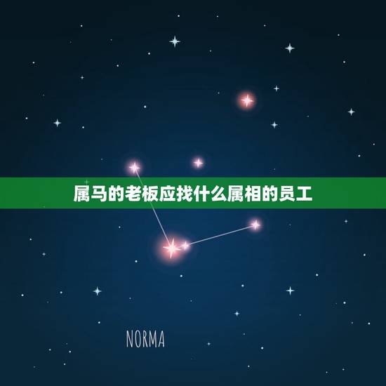 属马的老板应找什么属相的员工,老板属狗员工属兔 属马的老板应找什么属相的员工,老板属狗员工属兔