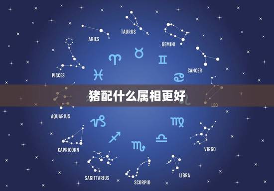 猪配什么属相更好，属猪的配什么更好