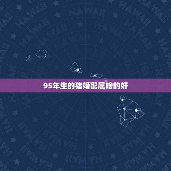 95年生的猪婚配属啥的好，男属鸡生于九三年正月十六巳时婚配女属猪生于九