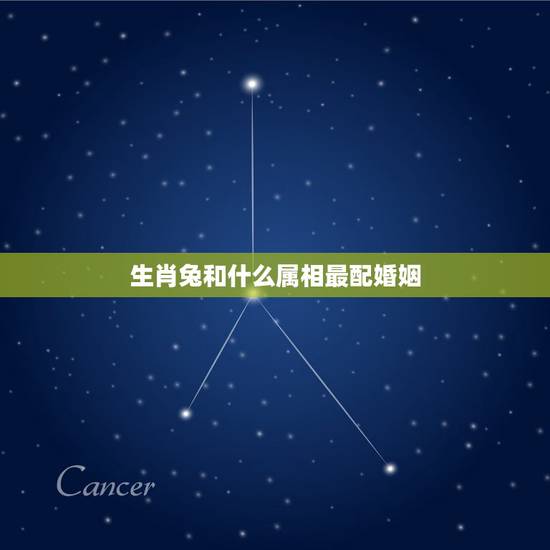 生肖兔和什么属相最配婚姻,属龙的和什么属相最配_属龙的和什么属相不配 生肖兔和什么属相最配婚姻,属龙的和什么属相最配_属龙的和什么属相不配