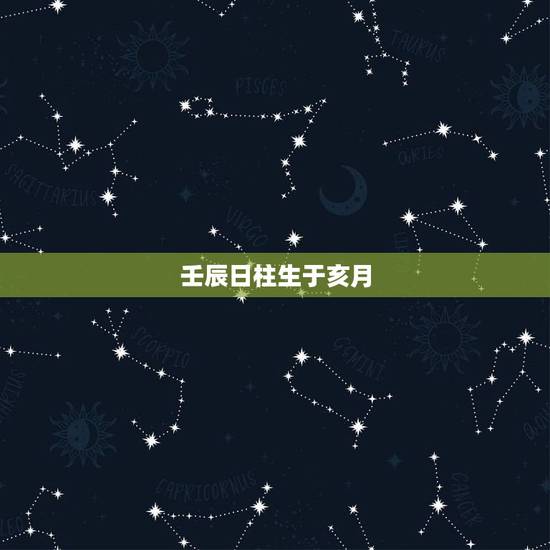 壬辰日柱生于亥月,癸亥月壬辰日 壬辰日柱生于亥月,癸亥月壬辰日