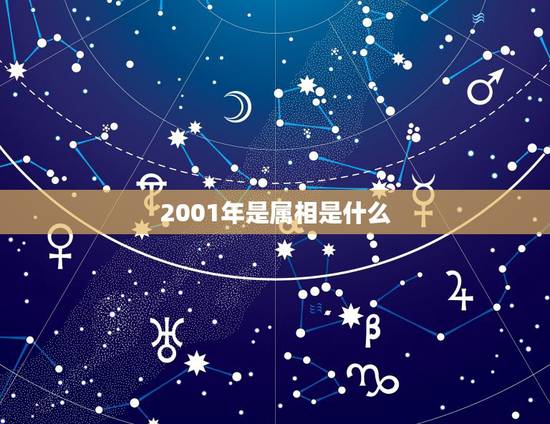 2001年是属相是什么，2001年属什么？