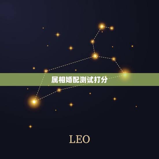 属相婚配测试打分,属相婚配 属相婚配测试打分,属相婚配