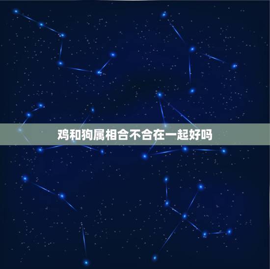 鸡和狗属相合不合在一起好吗，鸡和狗属相不和么，这是迷信迷信迷信………