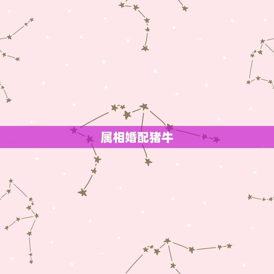 属相婚配猪牛，属牛的女孩和什么属相婚配最好
