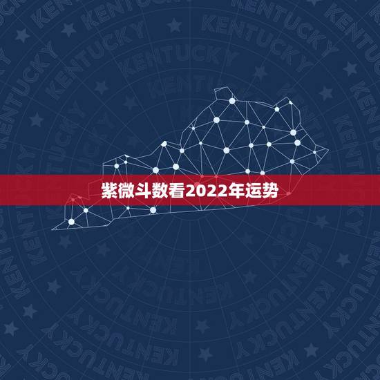 紫微斗数看2022年运势,紫微2022 紫微斗数看2022年运势,紫微2022