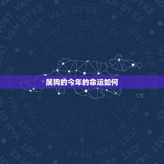 属狗的今年的命运如何,属狗的人一生中的命运怎样 属狗的今年的命运如何,属狗的人一生中的命运怎样