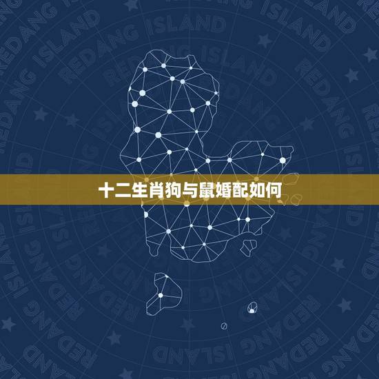 十二生肖狗与鼠婚配如何,属相狗跟鼠相配吗 十二生肖狗与鼠婚配如何,属相狗跟鼠相配吗