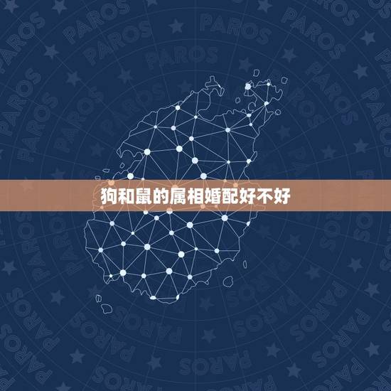 狗和鼠的属相婚配好不好,属相老鼠和狗相配吗 狗和鼠的属相婚配好不好,属相老鼠和狗相配吗